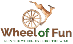 Wheel of Fun Tours and Travel | Explore East Africa's beauty and culture