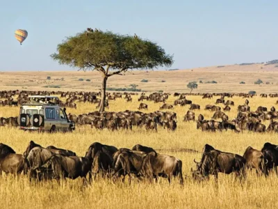 3 Days Masai Mara National Reserve best tour package