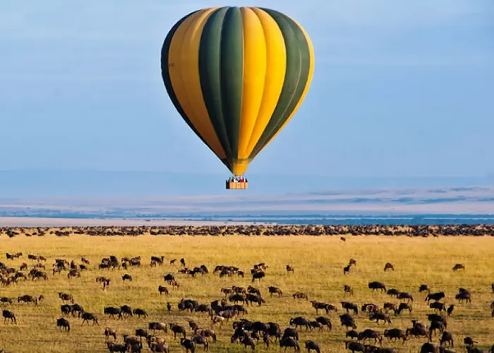 Wheel of Fun Tours and Travel personalized itineraries Services