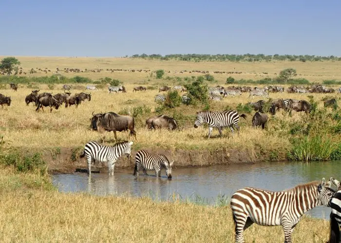 Wheel of Fun Tours and Travel Services